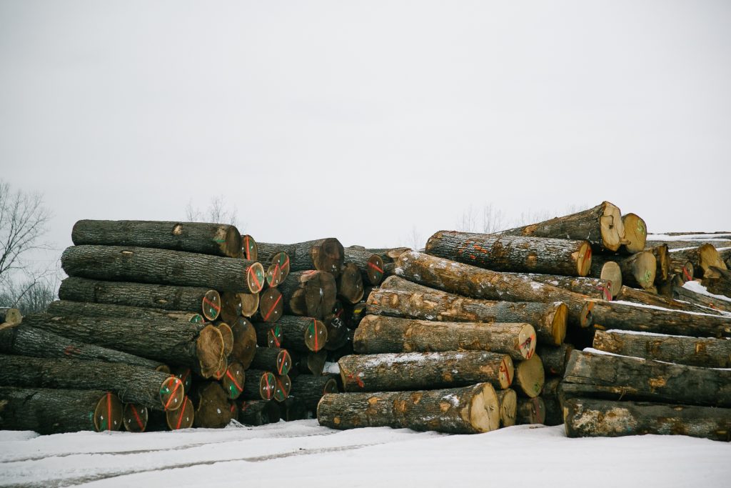 How A Log is Utilized for Custom Veneer 